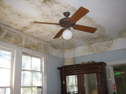 Moldy Ceiling